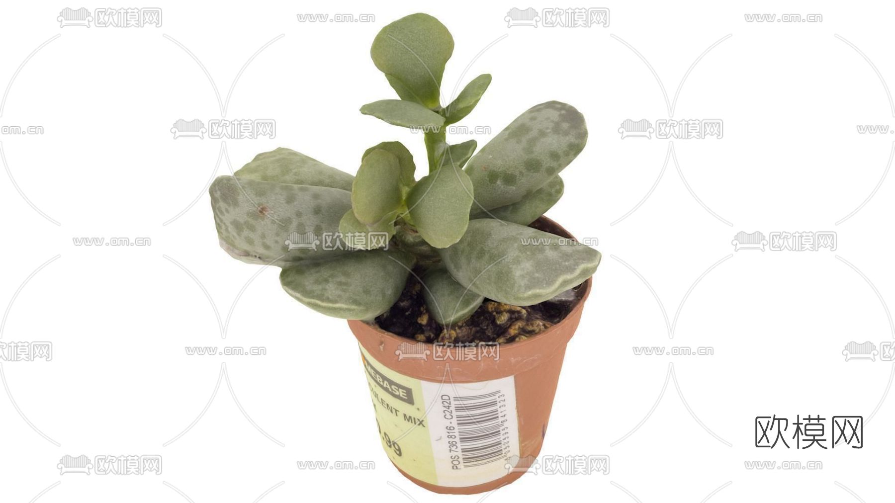 现代绿植盆栽免费3d模型下载