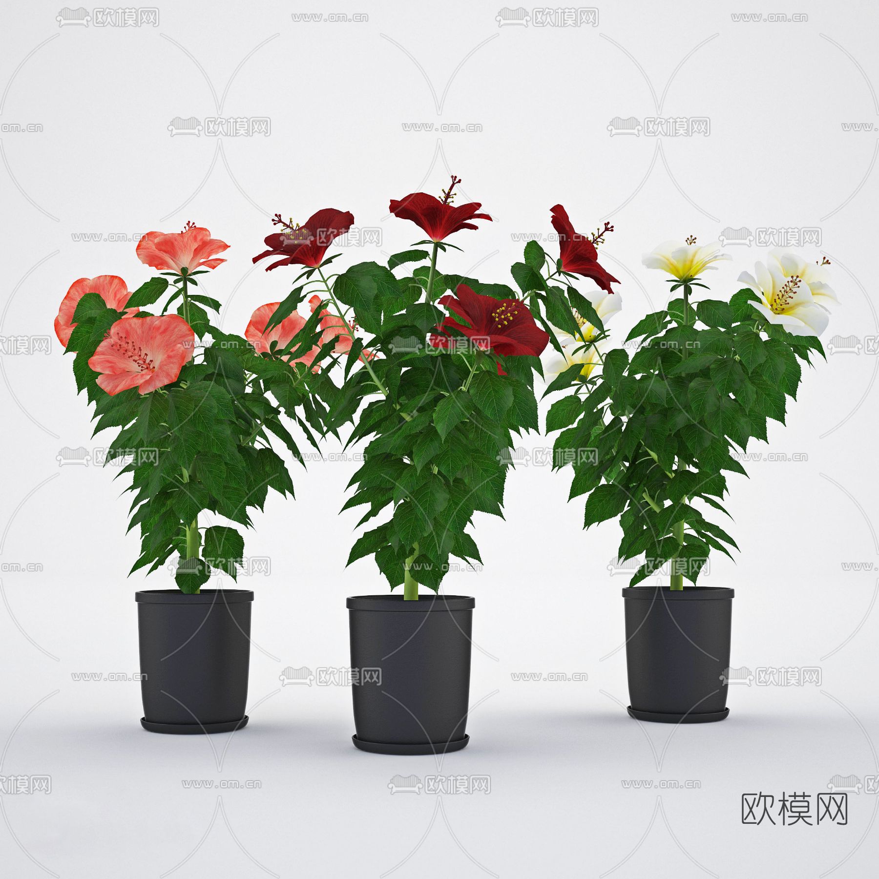 现代花盆栽免费3d模型下载