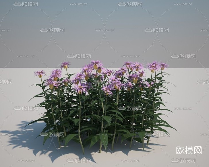 现代花草免费3d模型下载_ID11825099_3dmax免费模型-欧模网