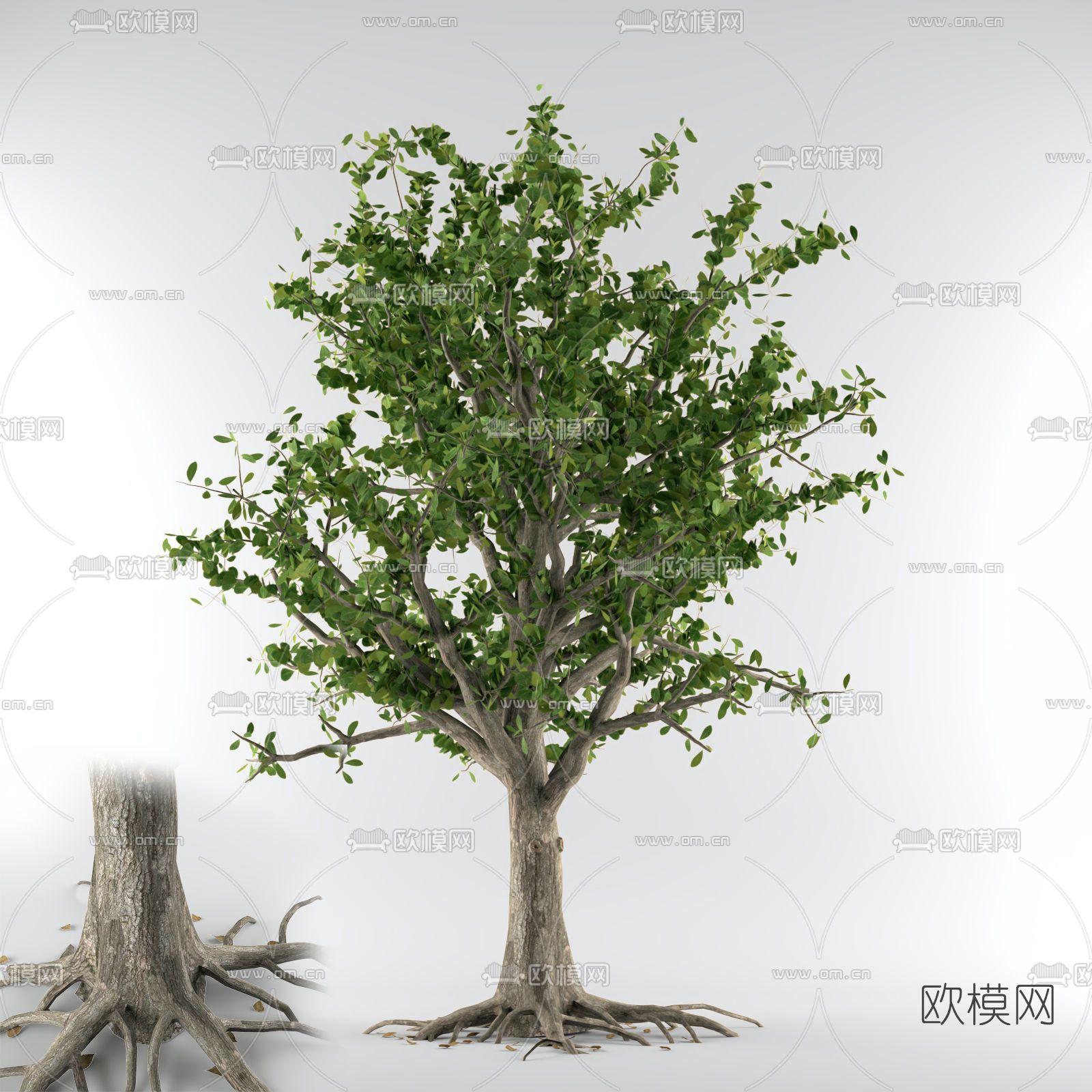 现代绿植树木免费3d模型下载