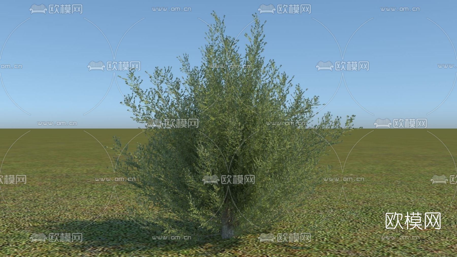 现代灌木免费3d模型下载