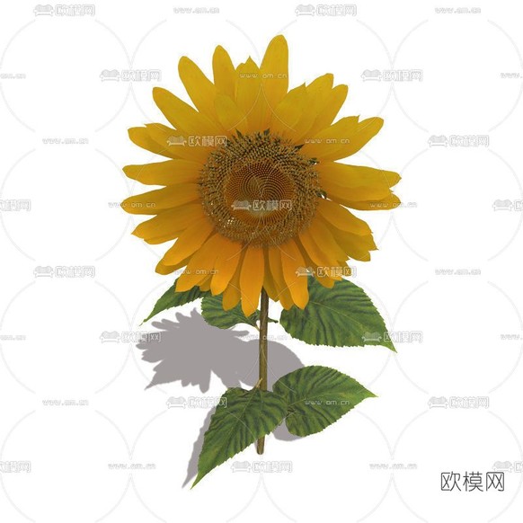 现代向日葵免费3d模型下载