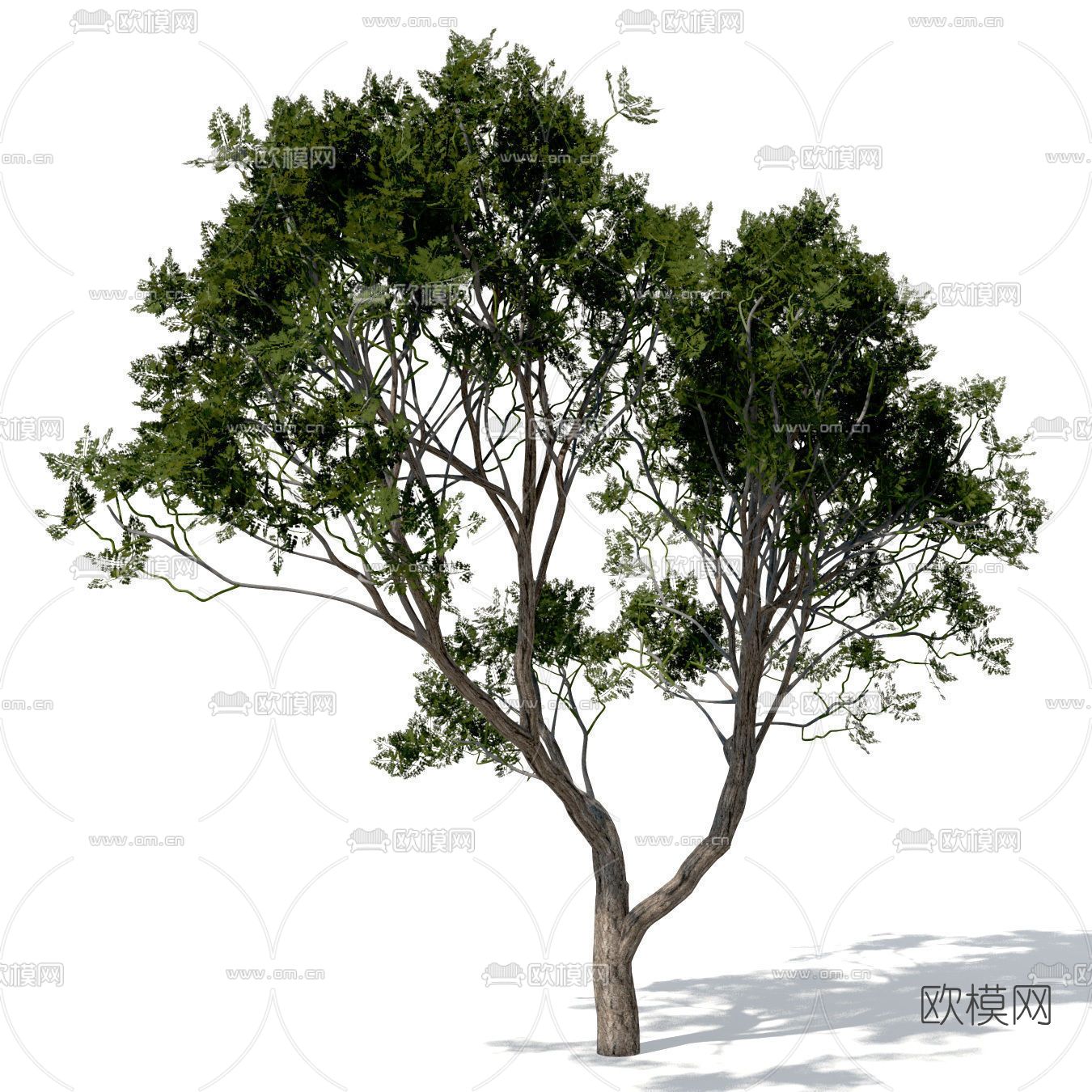 现代绿植树木免费3d模型下载