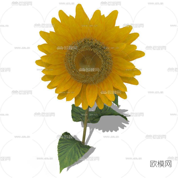 现代向日葵免费3d模型下载