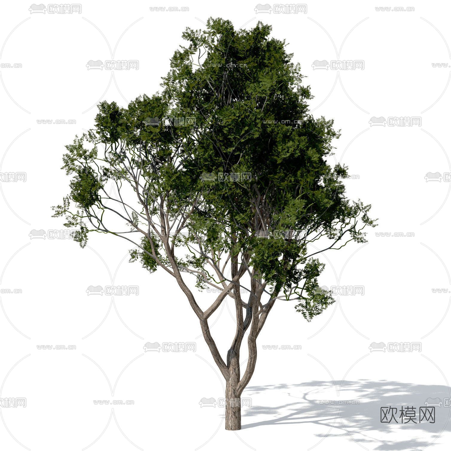 现代绿植树木免费3d模型下载