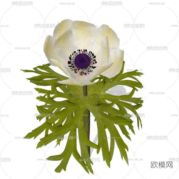 现代白色花免费3d模型下载