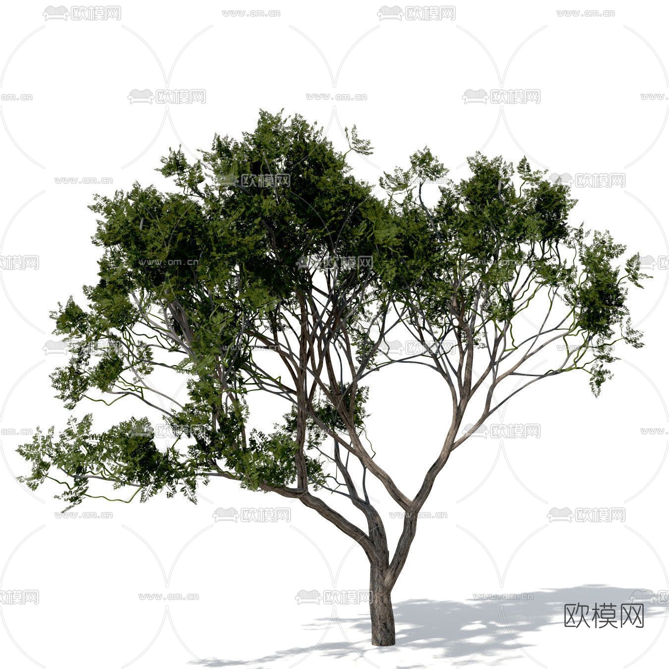 现代绿植树木免费3d模型下载