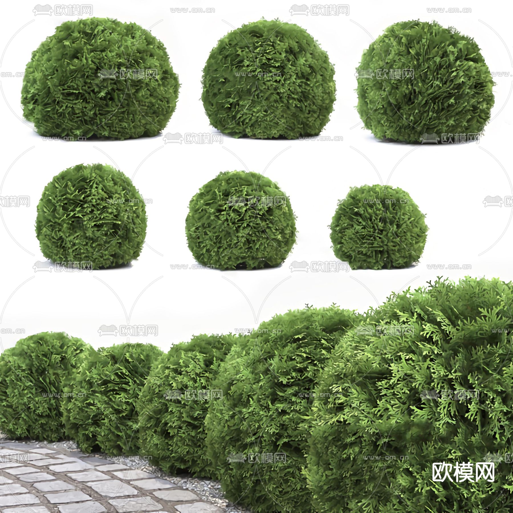 现代灌木绿篱su模型下载（渲染图1）
