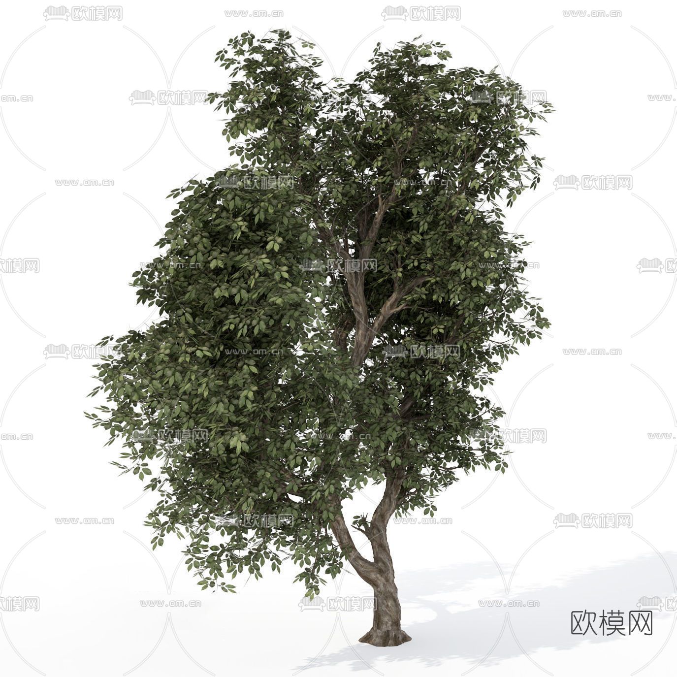 现代绿植树木免费3d模型下载