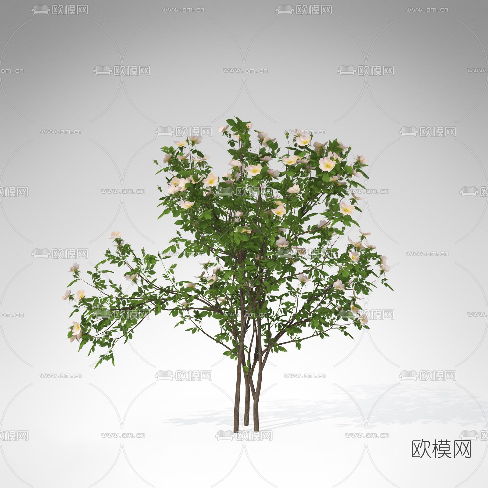 现代绿植灌木免费3d模型下载