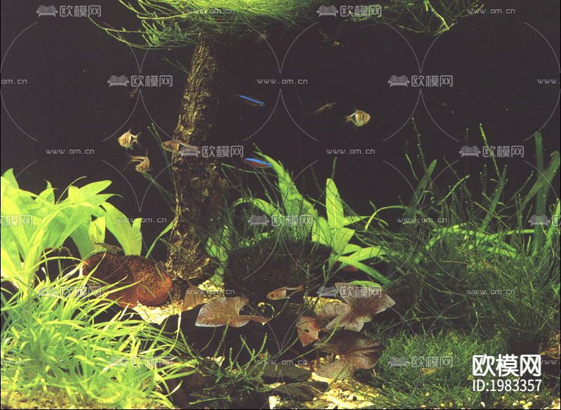 鱼缸贴图