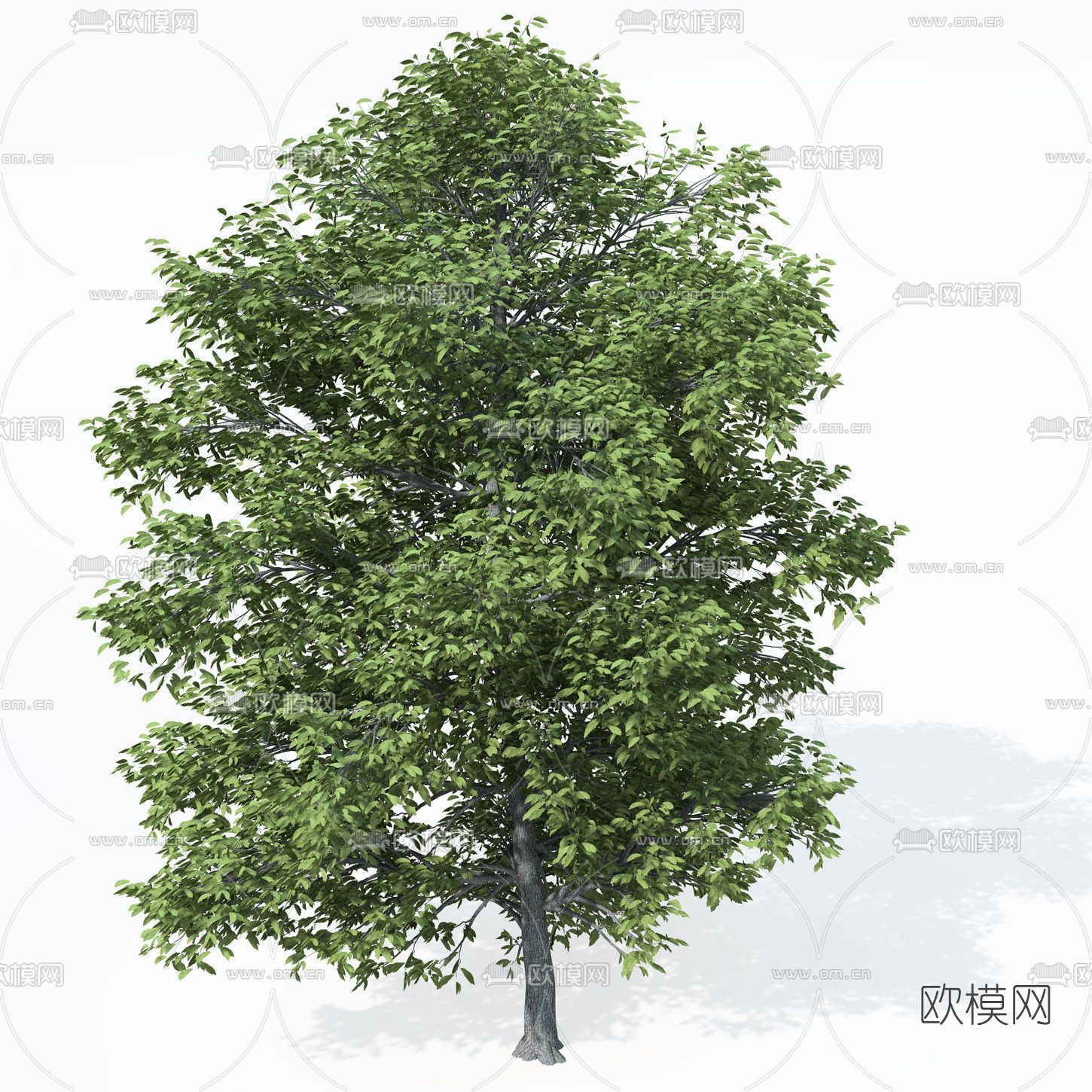 现代绿植树木免费3d模型下载