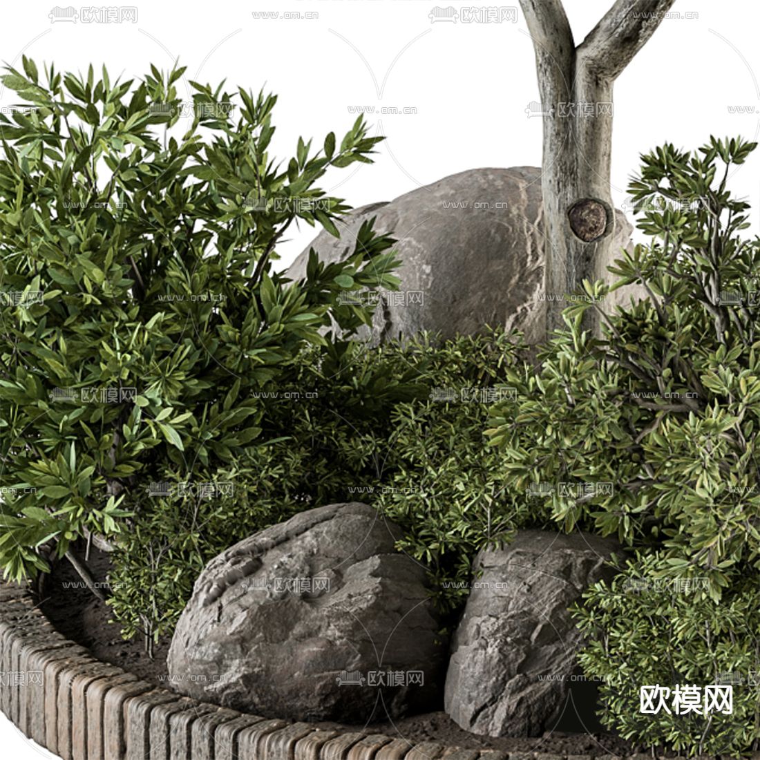 现代景观植物堆3d模型下载（渲染图3）