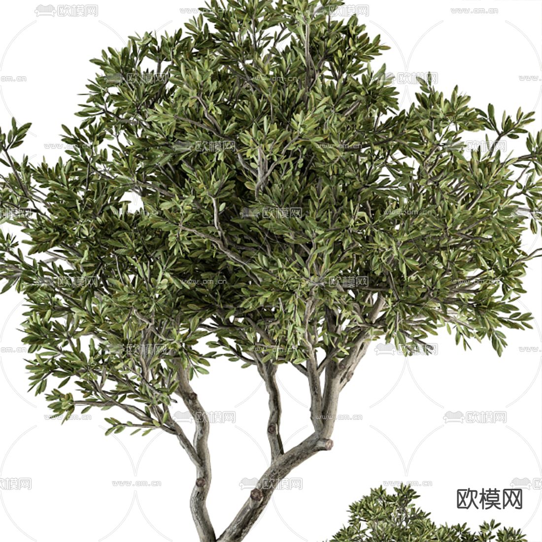 现代景观植物堆3d模型下载（渲染图4）