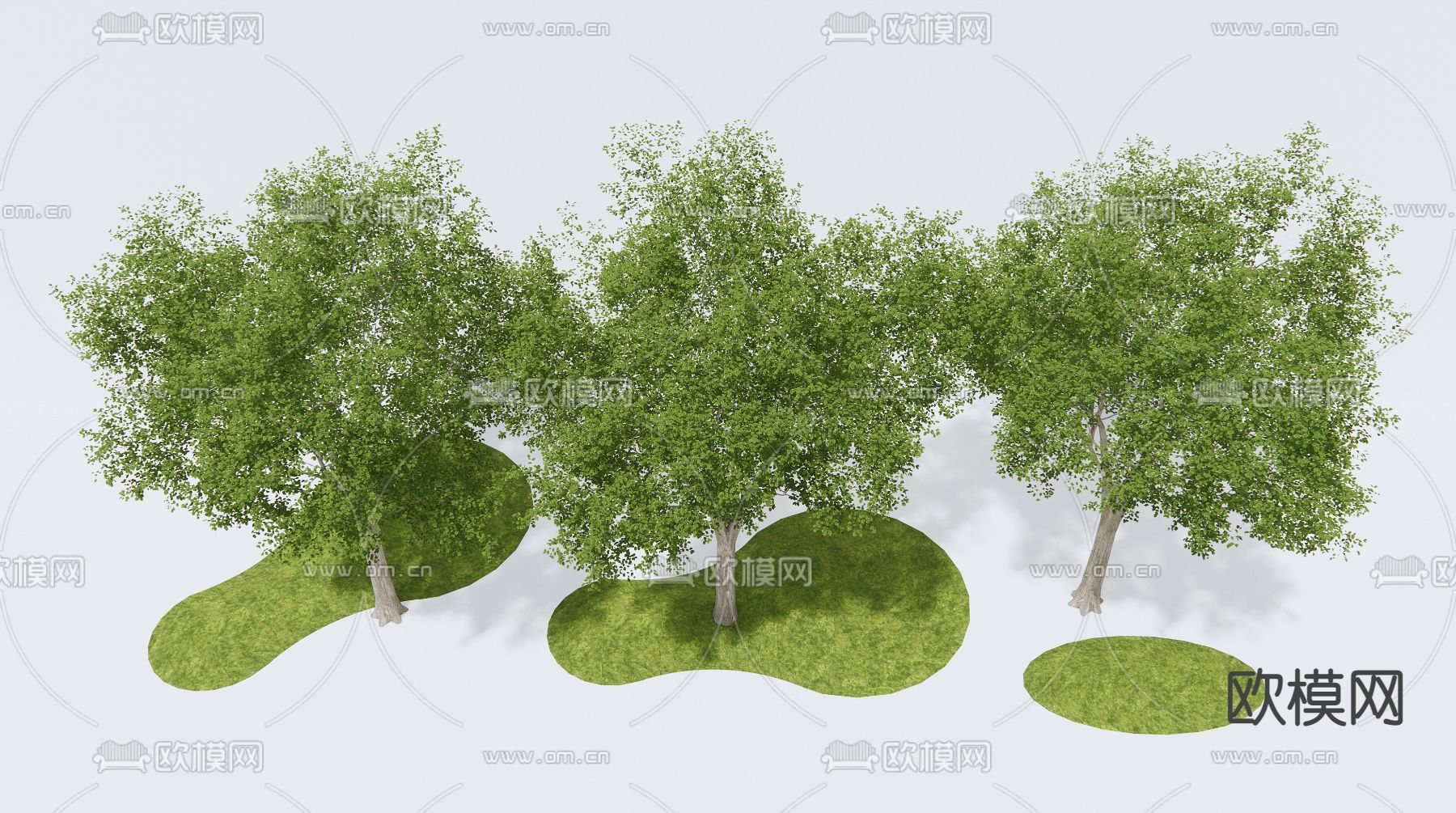 现代景观树su模型下载（渲染图2）