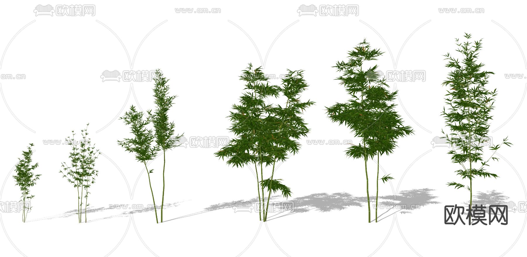 现代绿植竹子su模型下载（渲染图2）