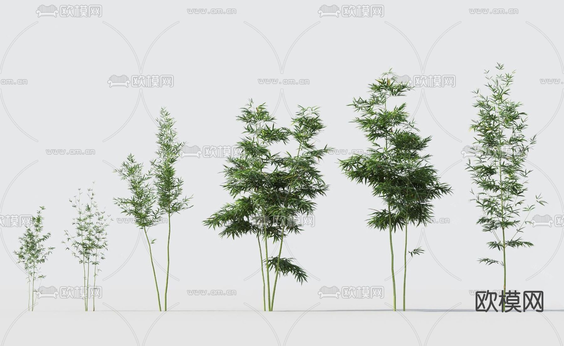 现代绿植竹子su模型下载（渲染图1）