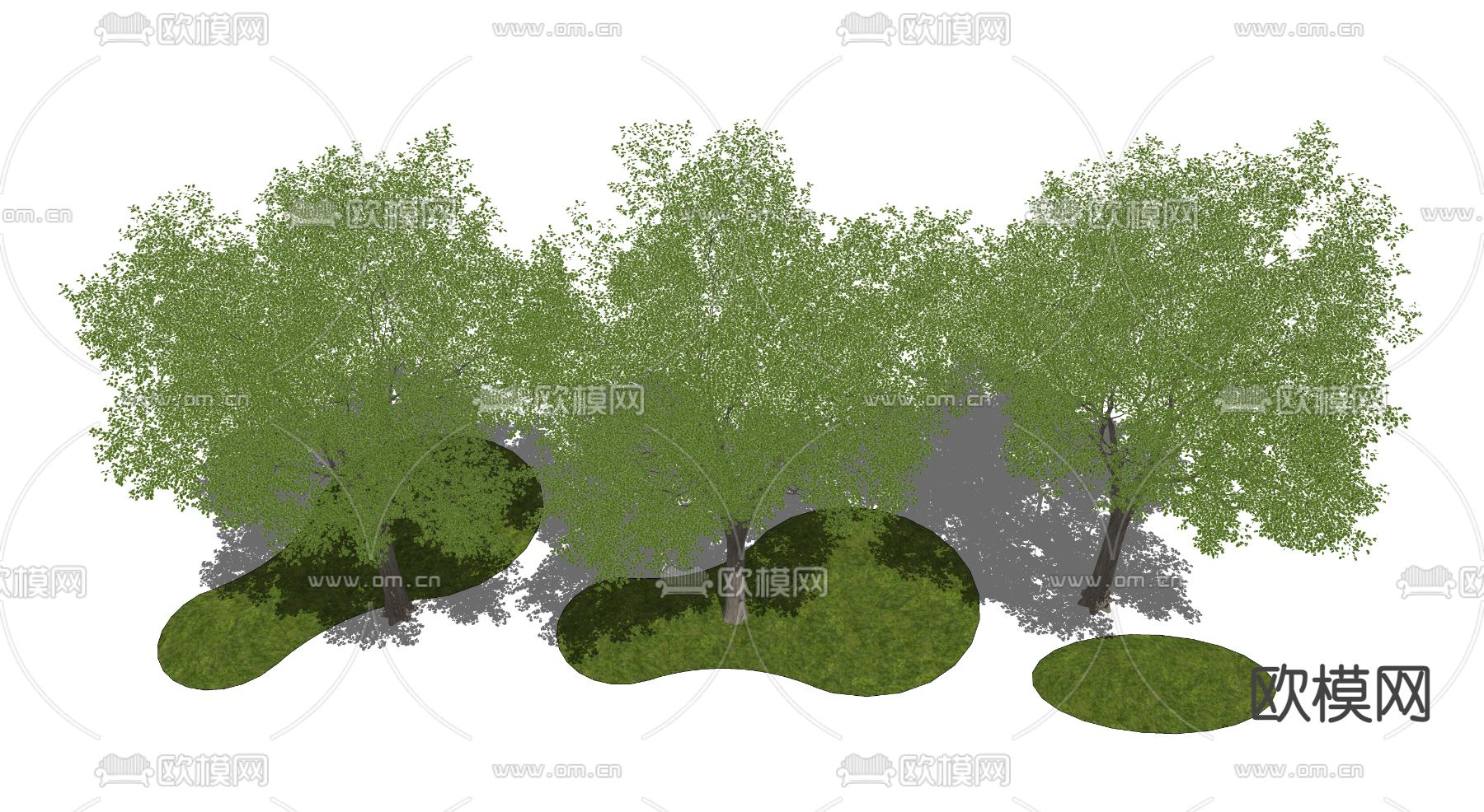 现代景观树su模型下载（渲染图3）