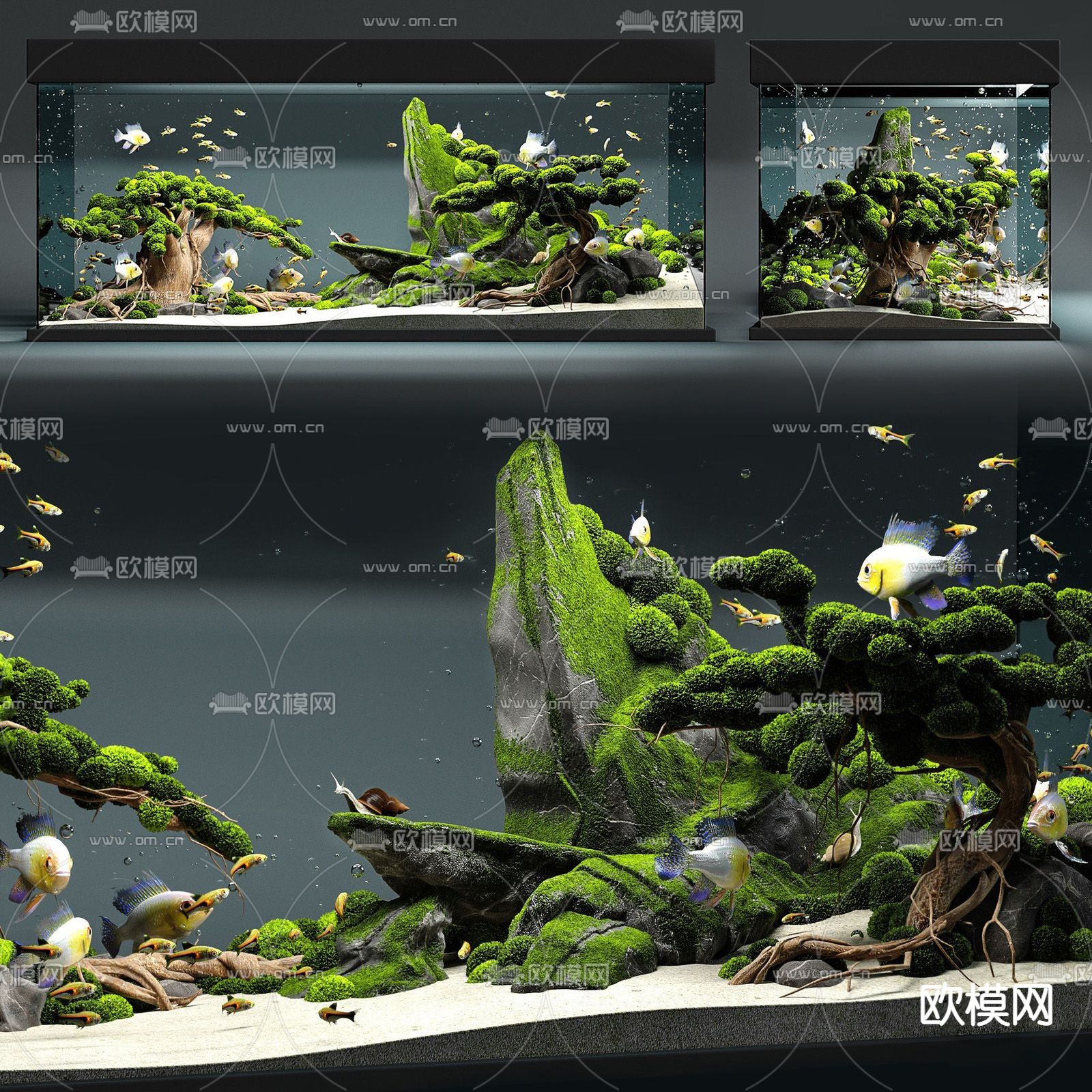 现代玻璃鱼缸su模型