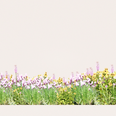  现代花丛su模型 