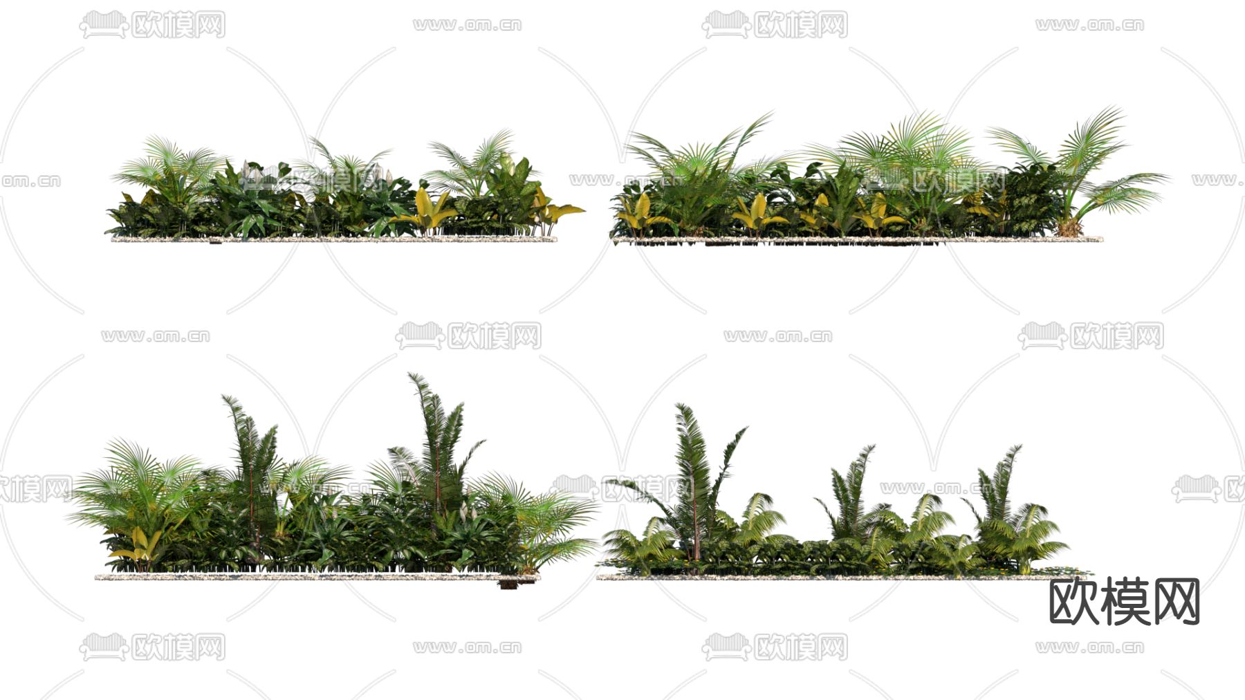 现代植物灌木su模型下载（渲染图1）