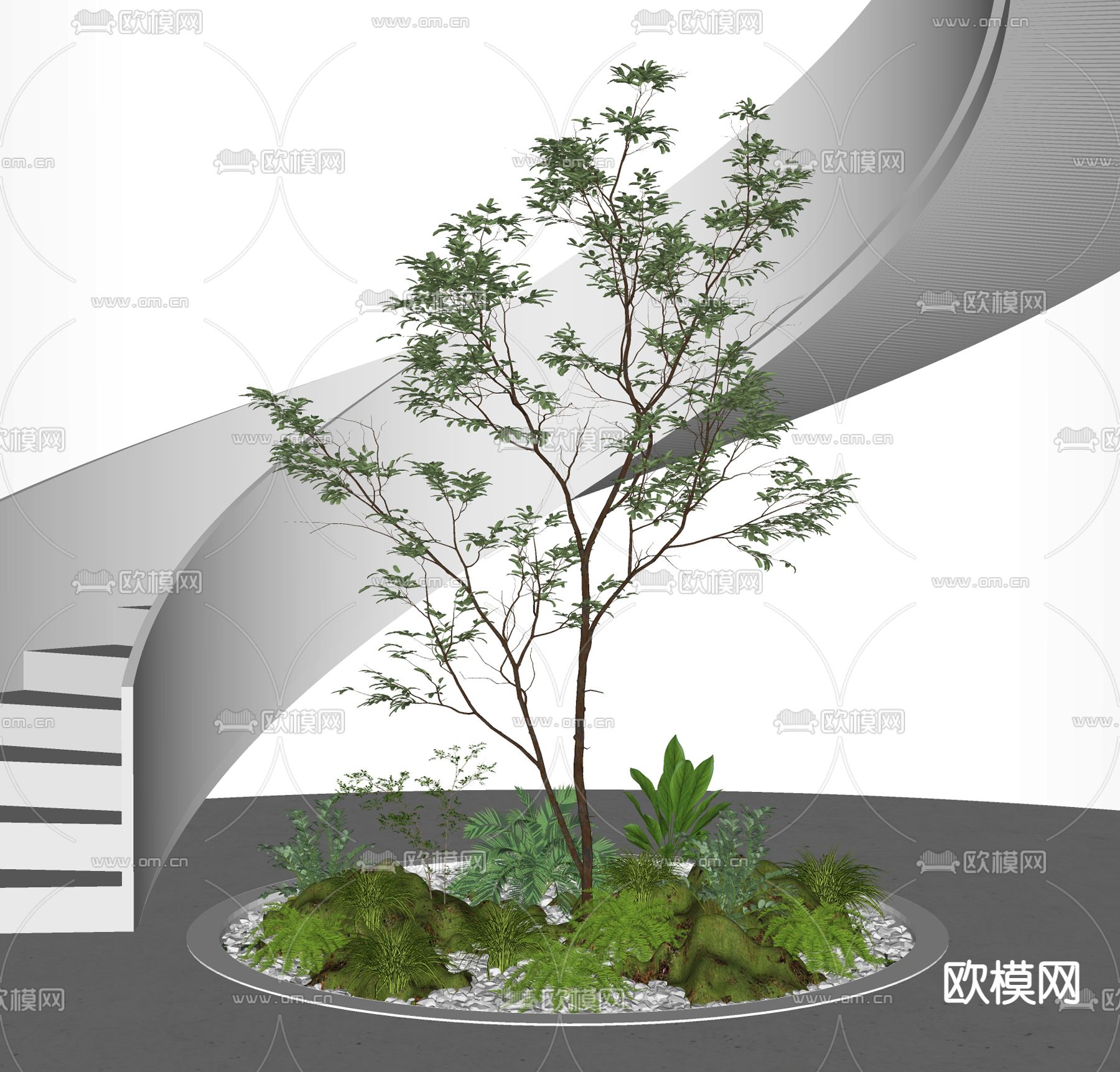 现代庭院景观树su模型下载