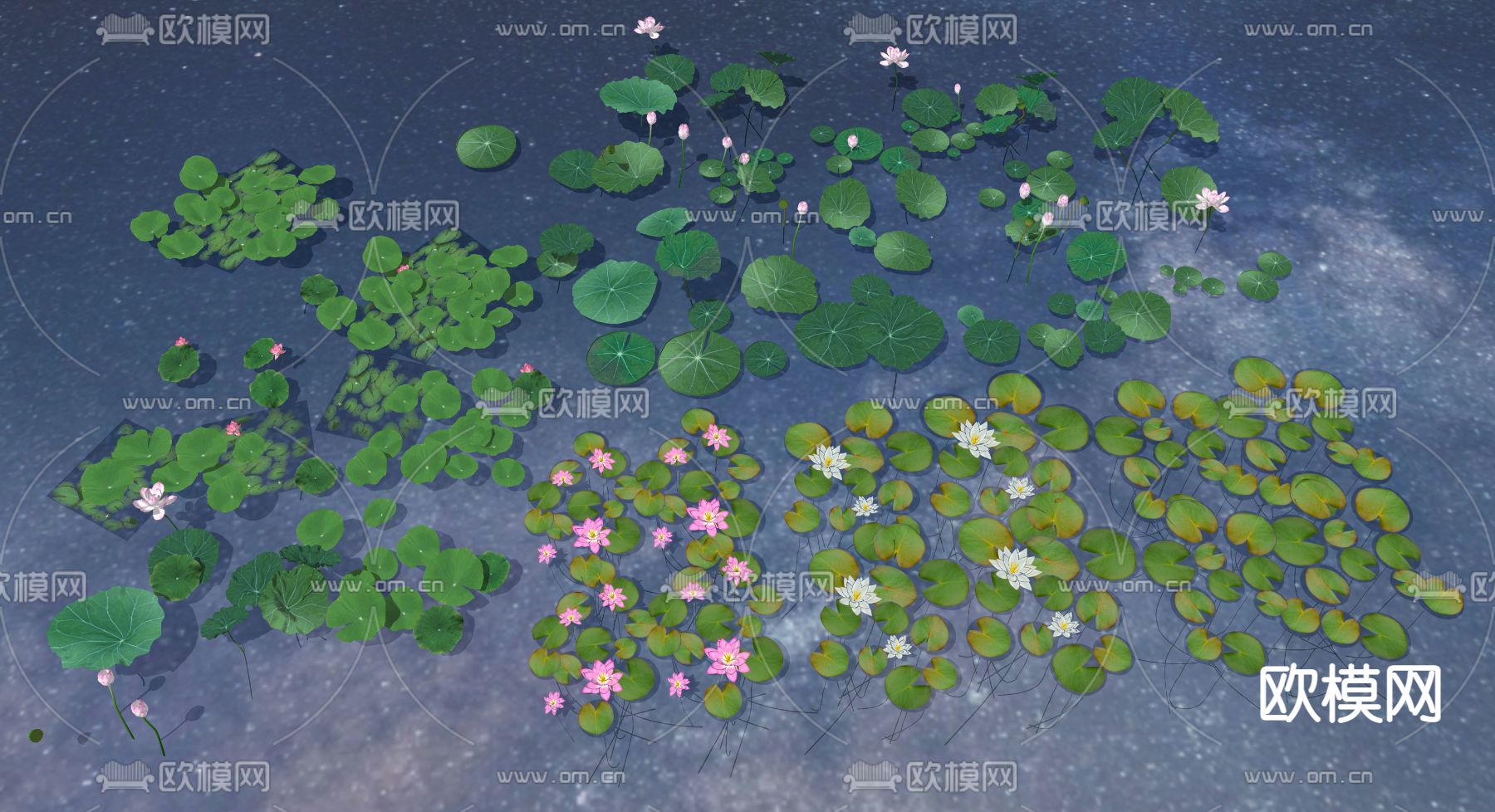 现代水池荷花su模型