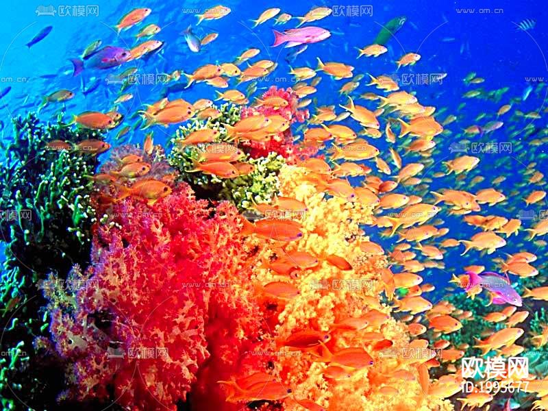 鱼缸贴图下载
