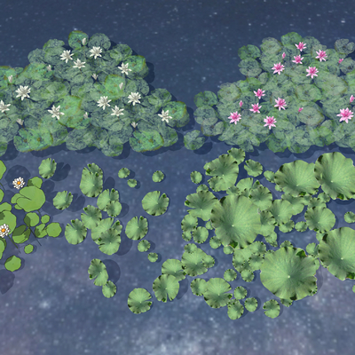  现代水池荷花su模型 