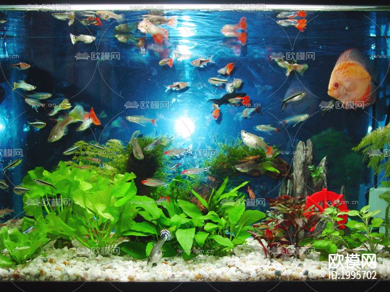 鱼缸贴图下载