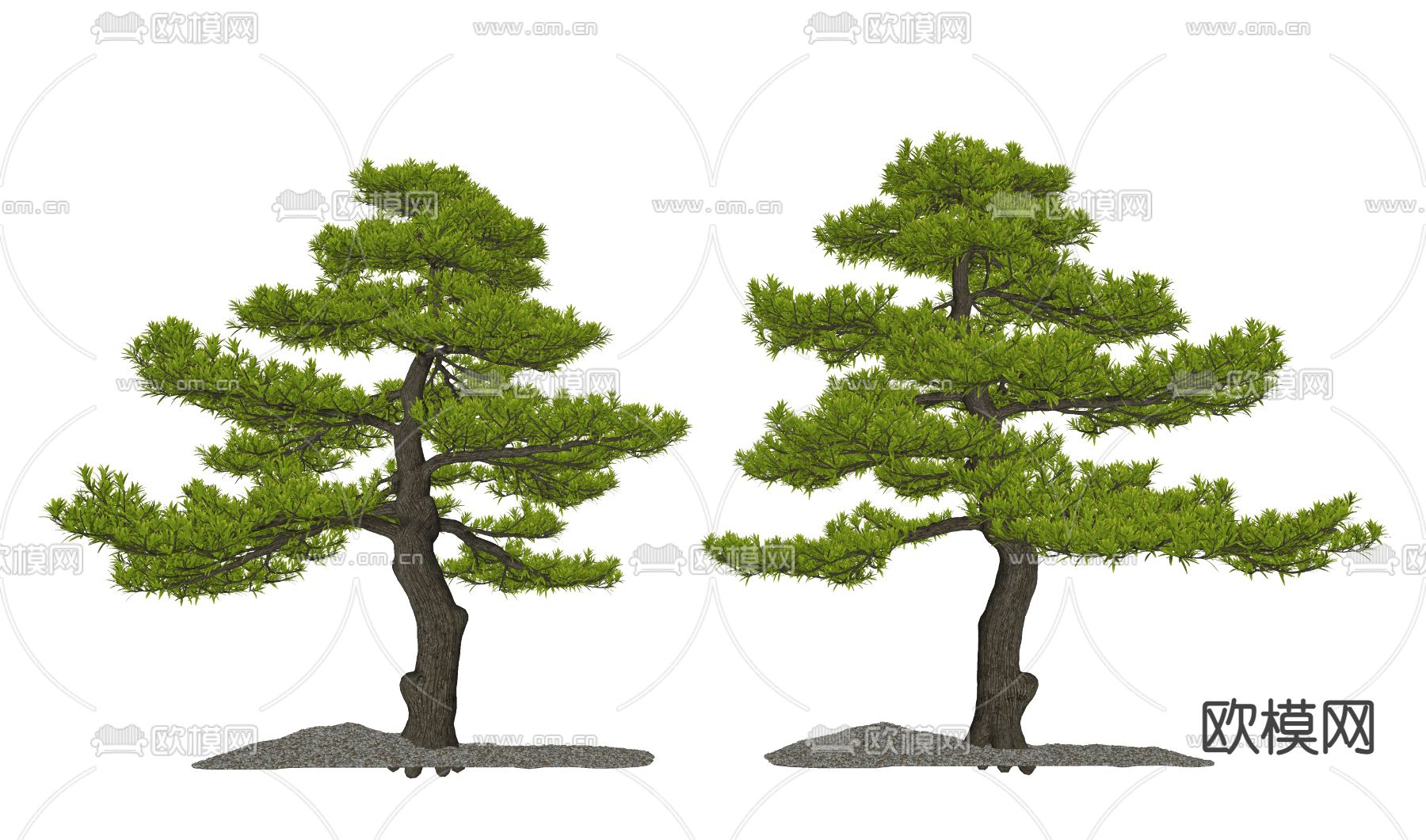 新中式景观树su模型下载（渲染图2）