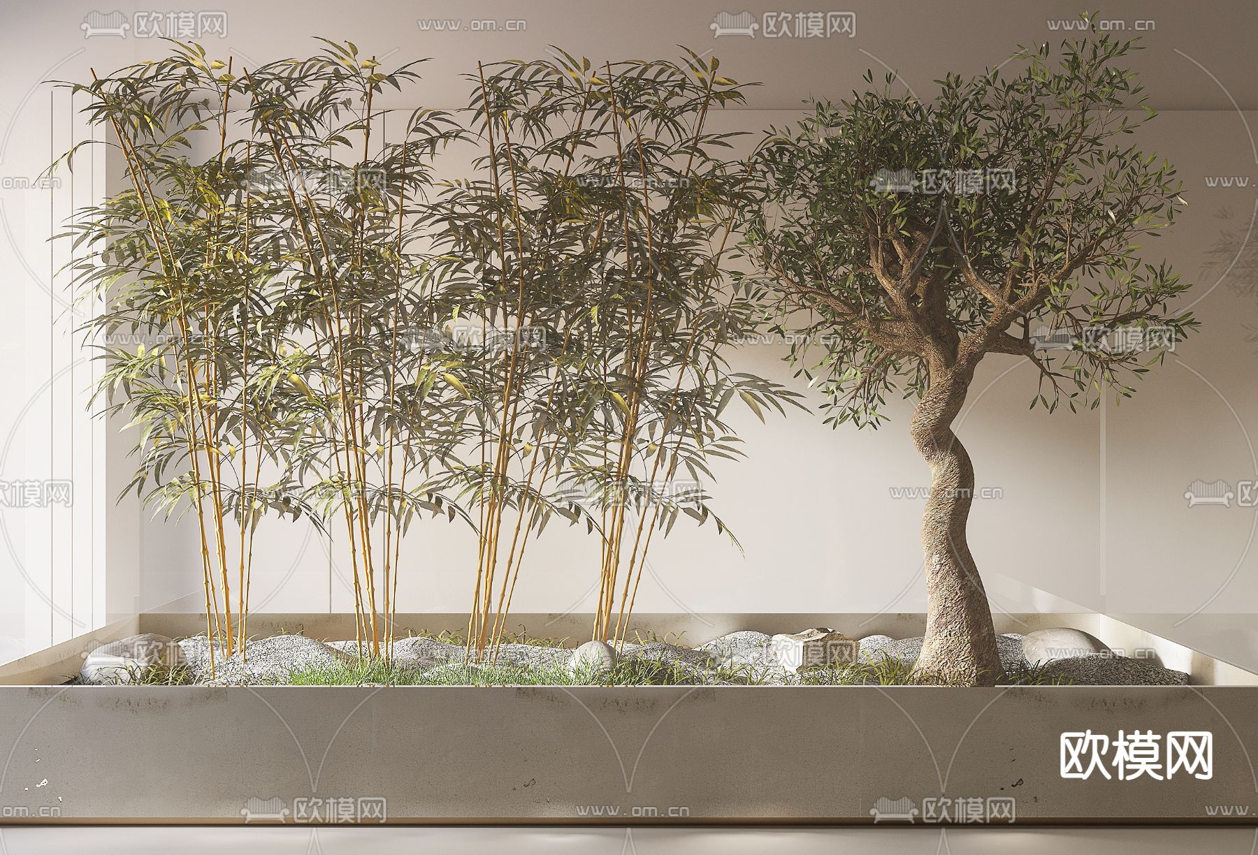 现代竹子盆栽3d模型