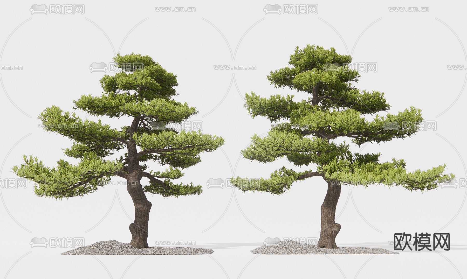 新中式景观树su模型下载（渲染图1）