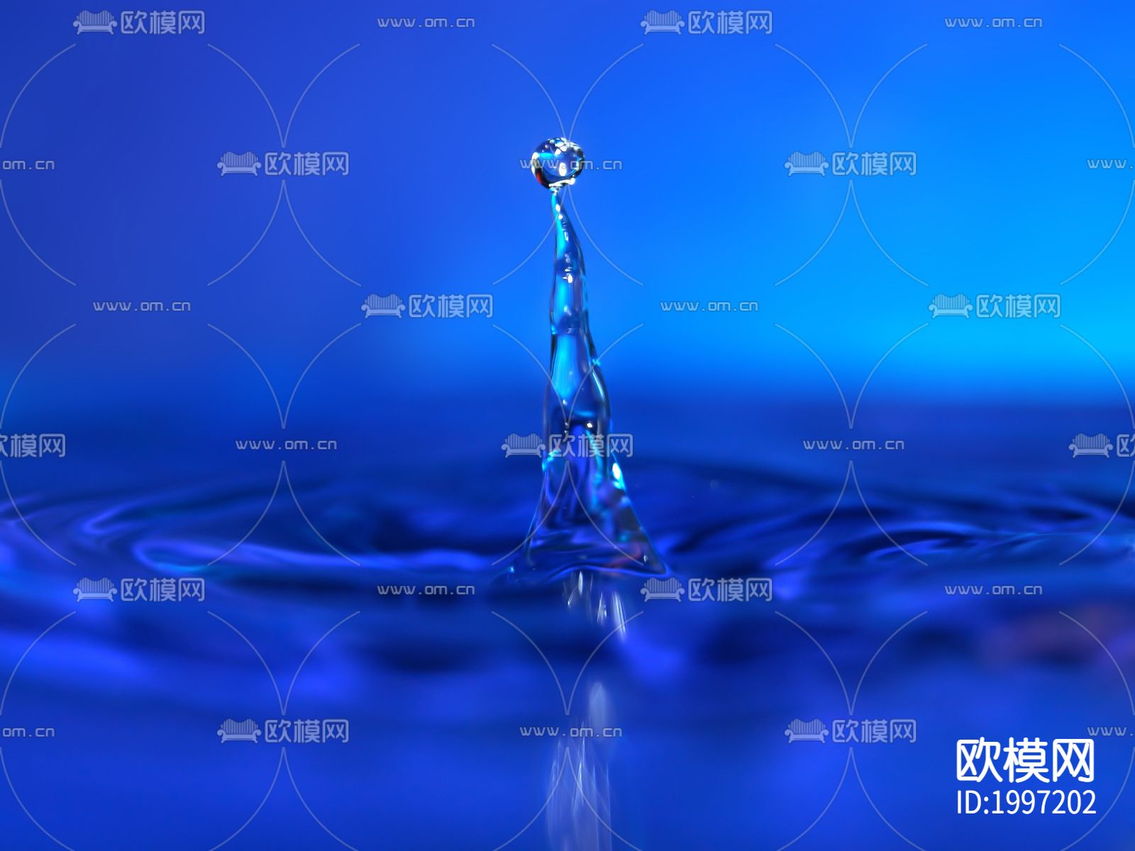 水景贴图