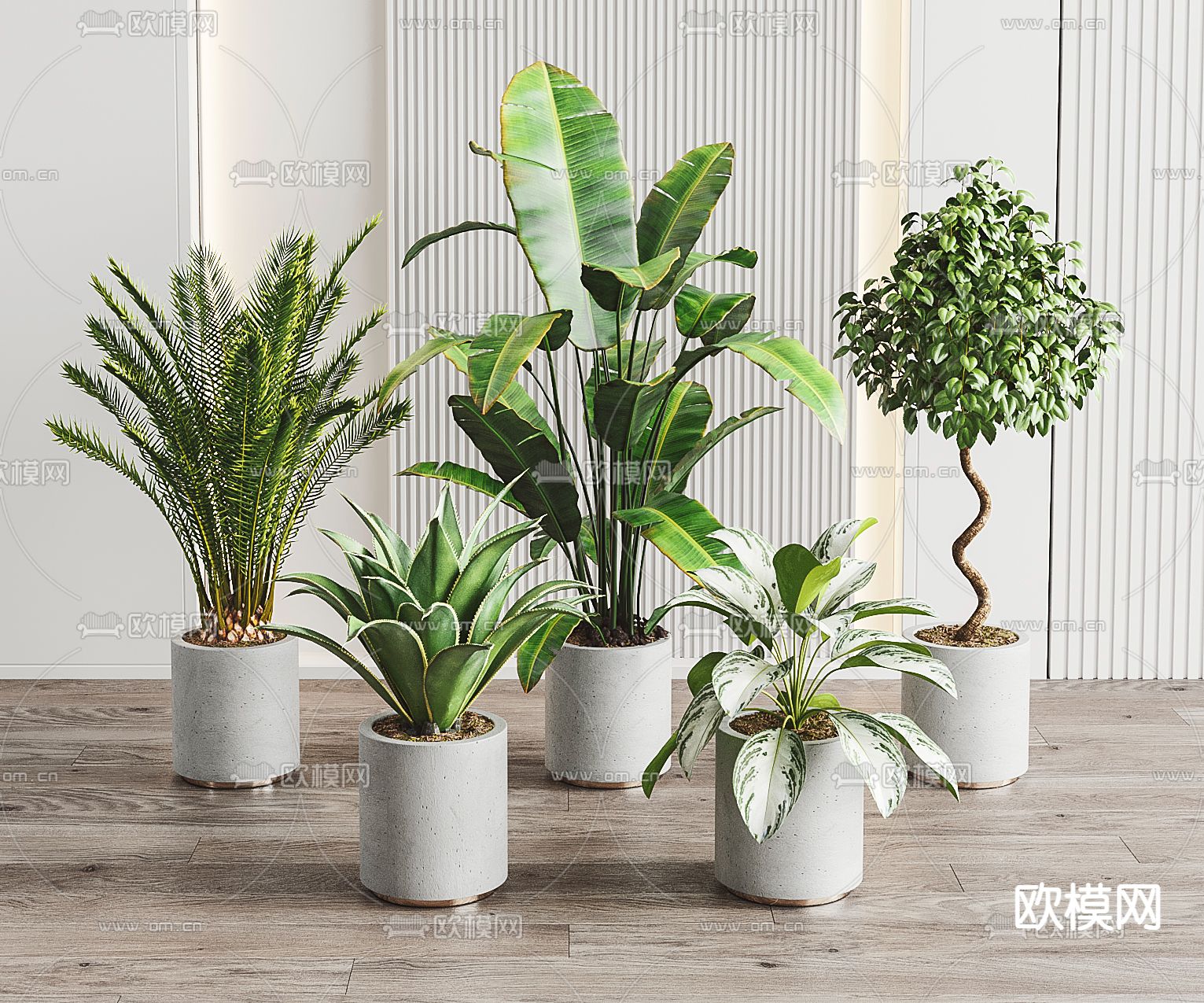 现代绿植盆栽3d模型下载