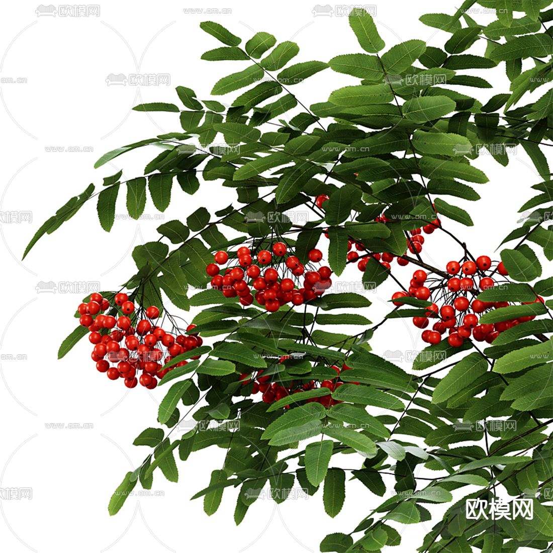 现代花瓶花艺书籍3d模型下载（渲染图4）