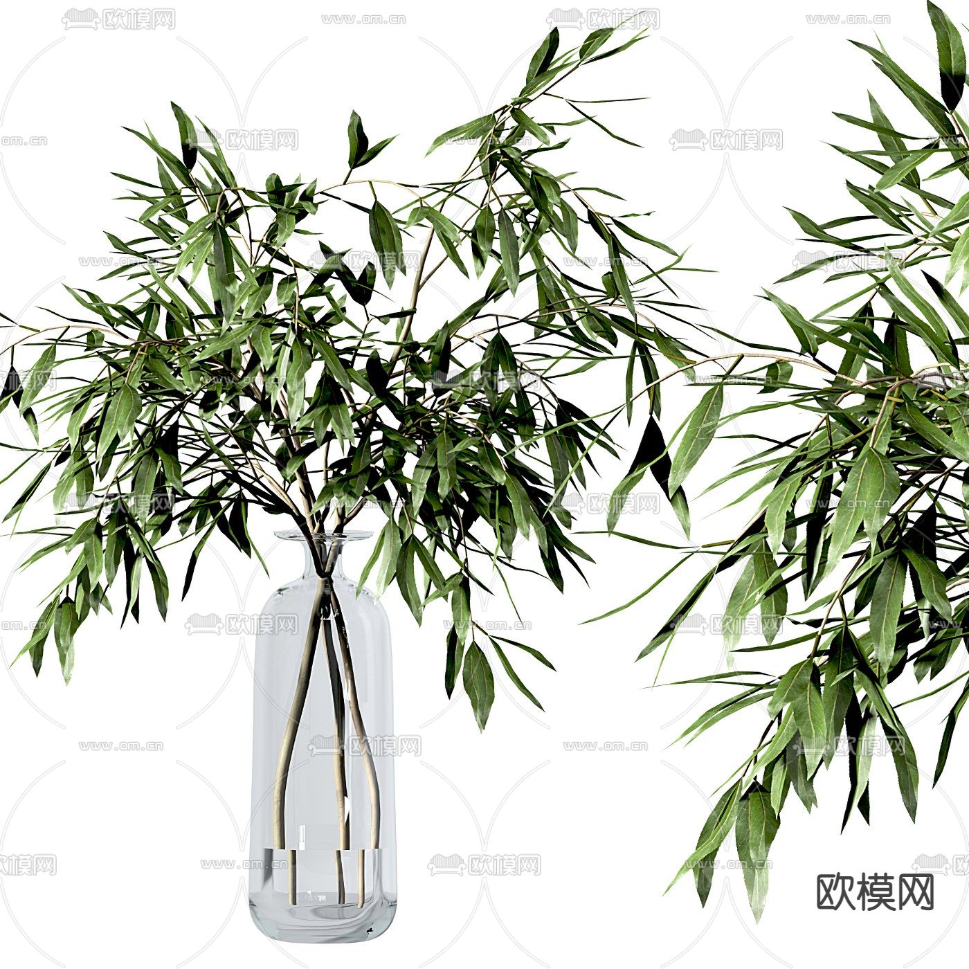 现代水生绿植花瓶3d模型下载（渲染图3）