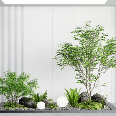 室内的植物景观