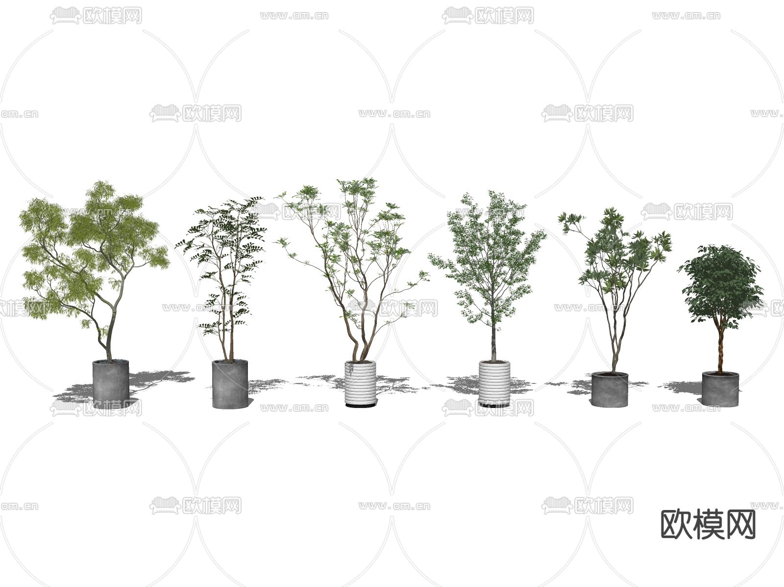现代植物盆栽su模型