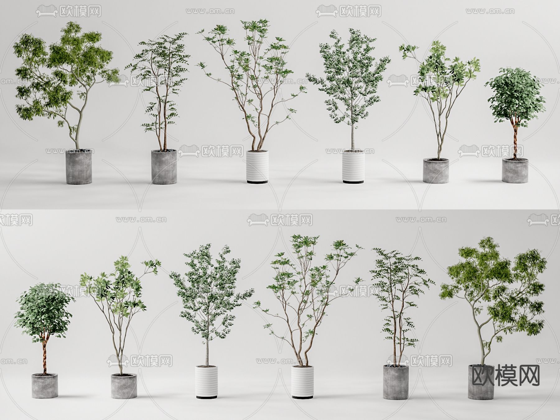 现代植物盆栽su模型
