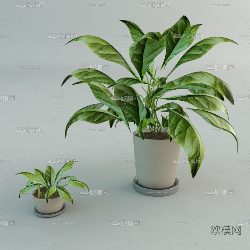 现代绿植盆栽免费3d模型下载