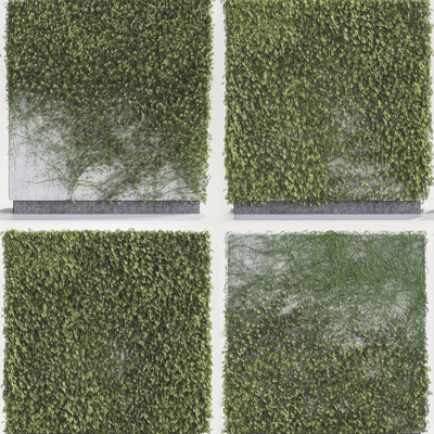  现代绿植藤蔓su模型 