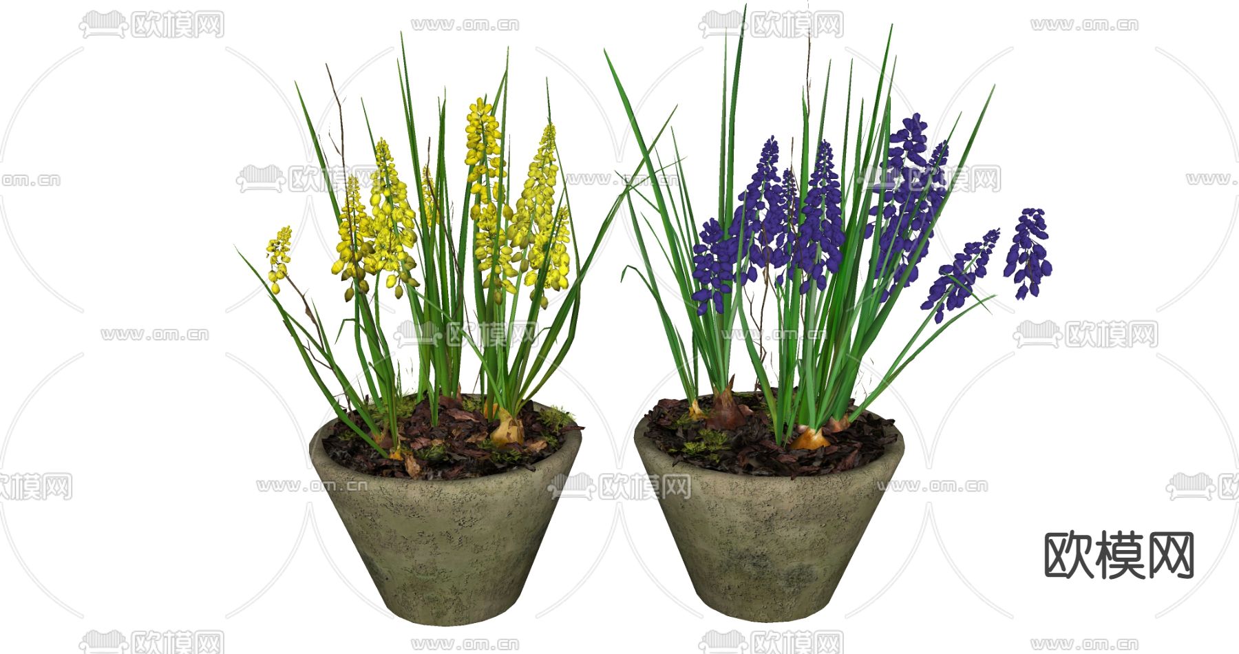 现代绿植盆栽su模型下载（渲染图2）