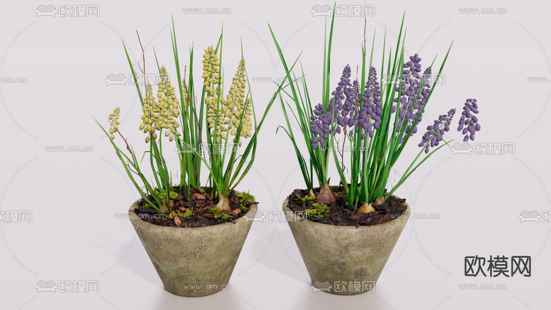 现代绿植盆栽su模型下载（渲染图1）