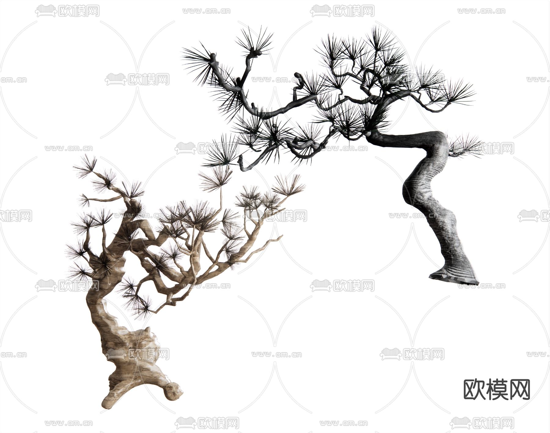 新中式植物罗汉松su模型下载（渲染图1）