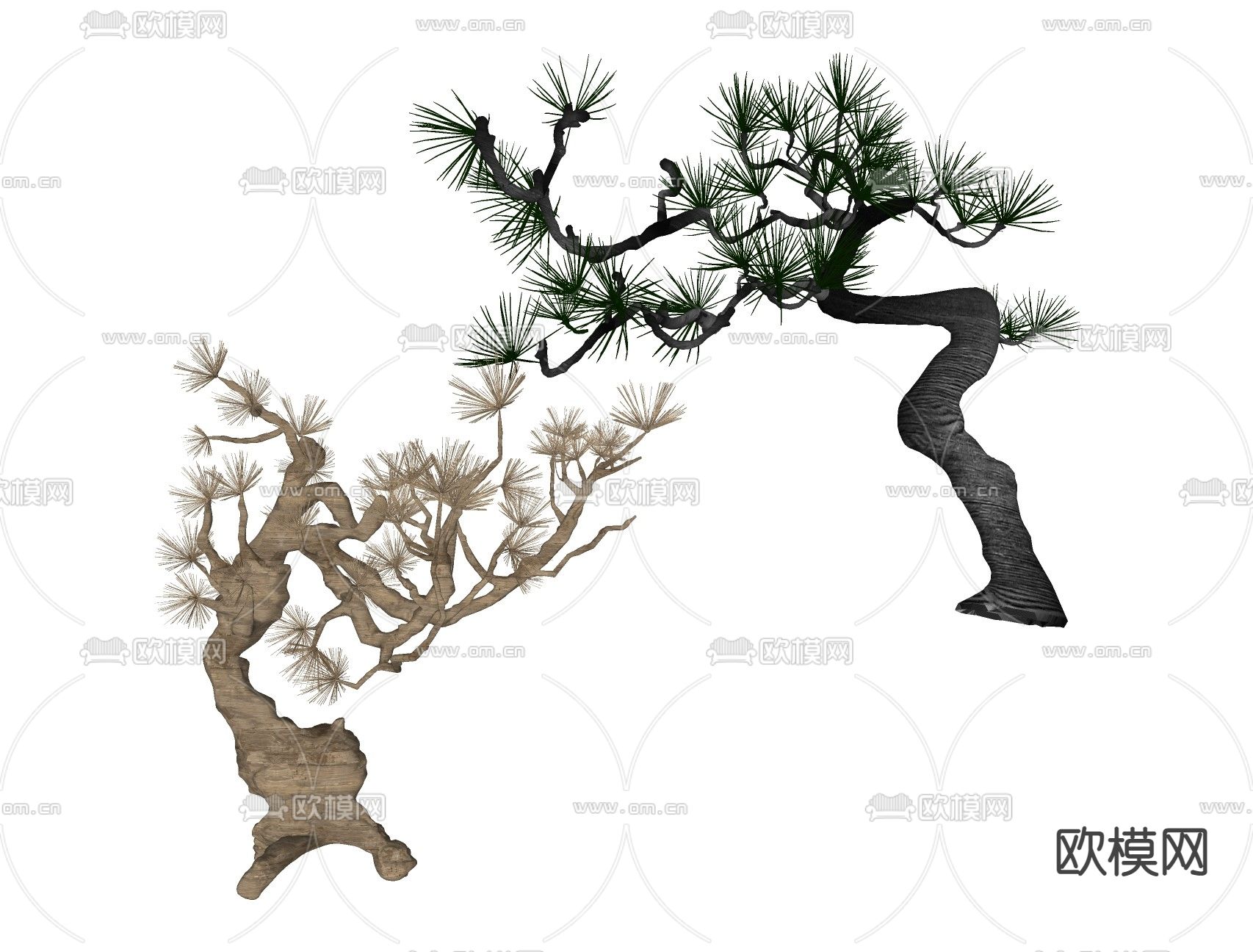 新中式植物罗汉松su模型下载（渲染图2）