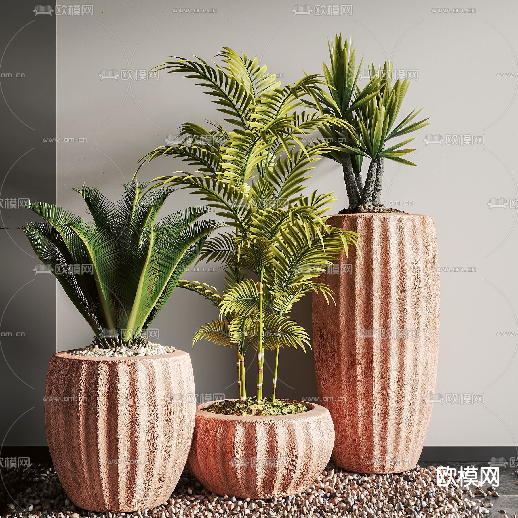 侘寂绿植盆栽3d模型下载