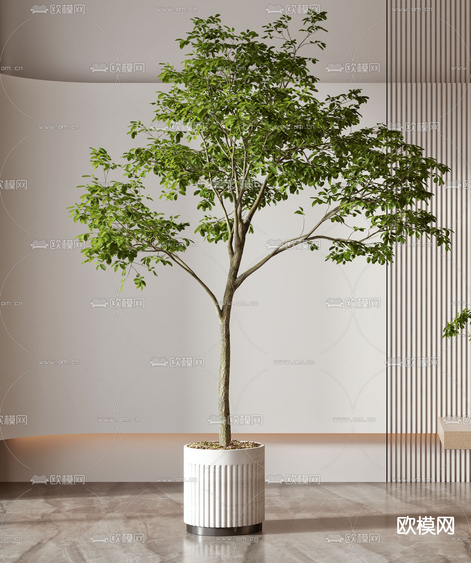 现代植物盆栽3d模型