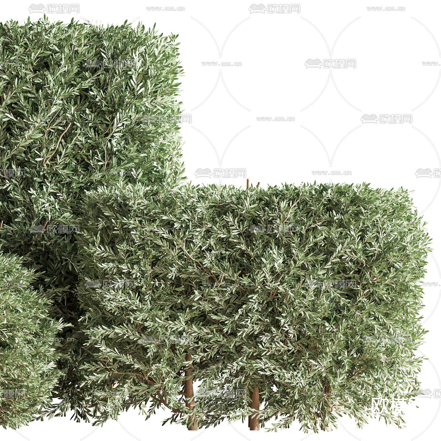 现代绿植枯枝灌木丛3d模型下载（渲染图4）