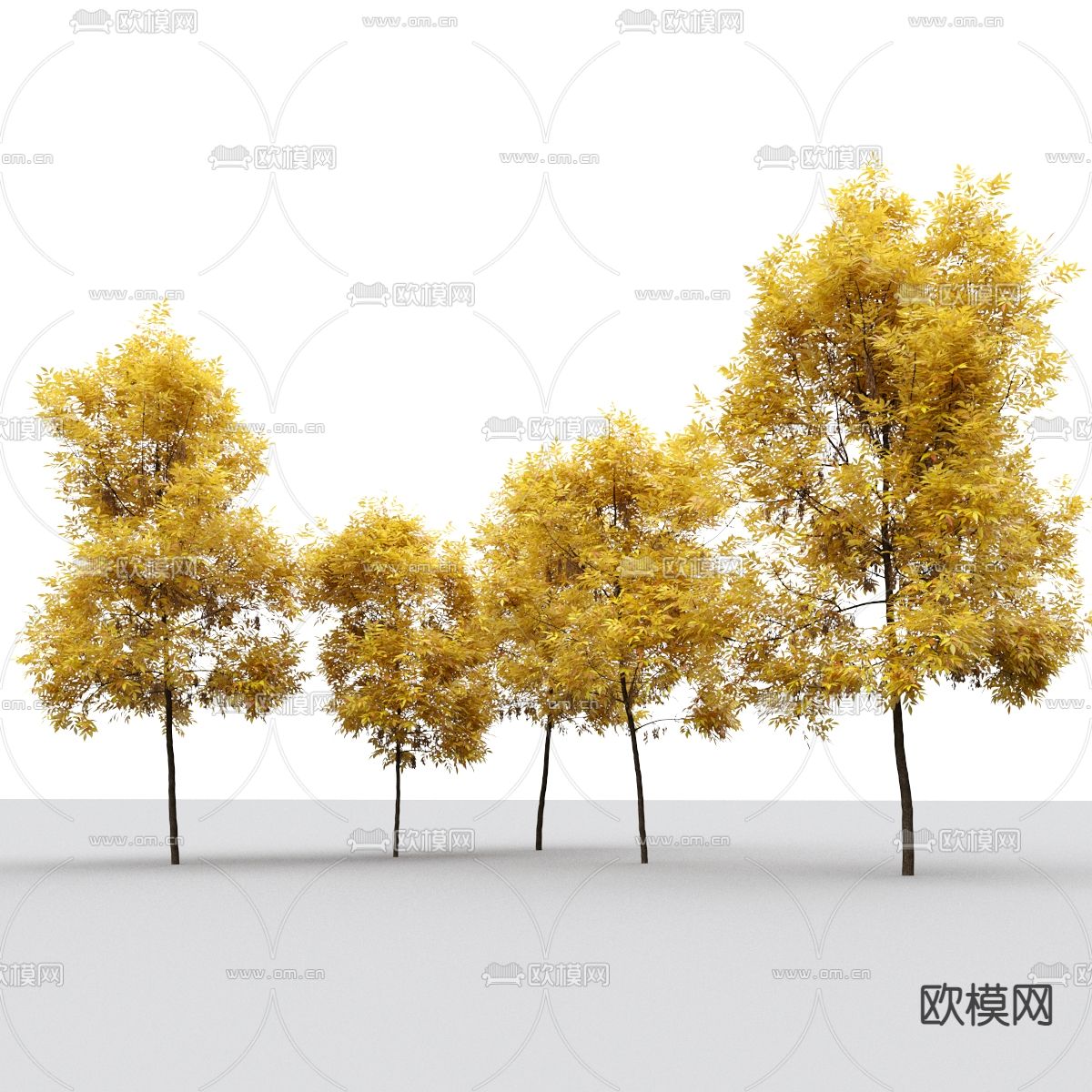 现代树木景观树3d模型